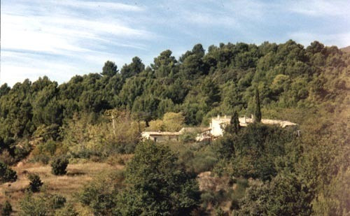 photo 0
