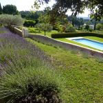 gite - Mas des Oliviers - aglandau - GORDES - Vaucluse
