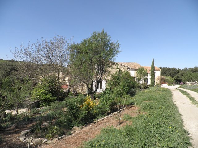 photo 0
