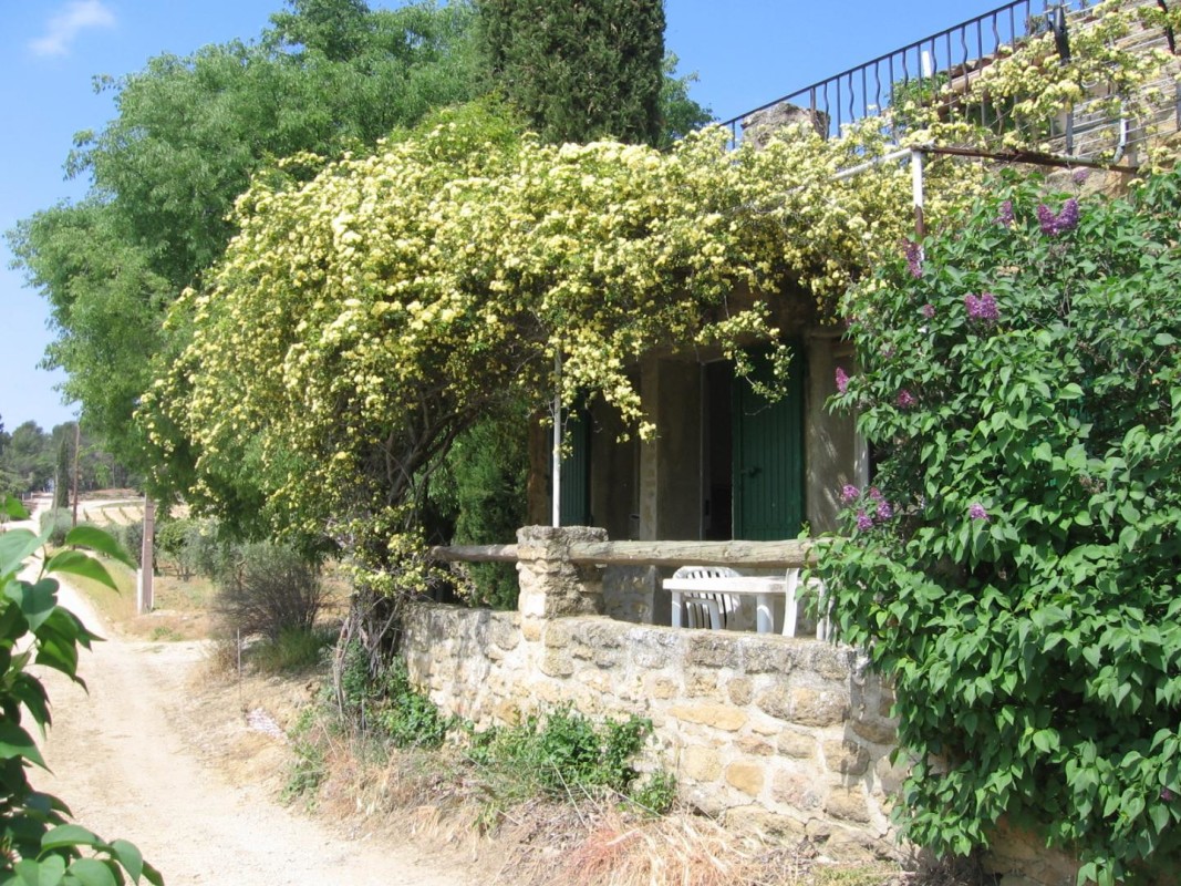 photo 0