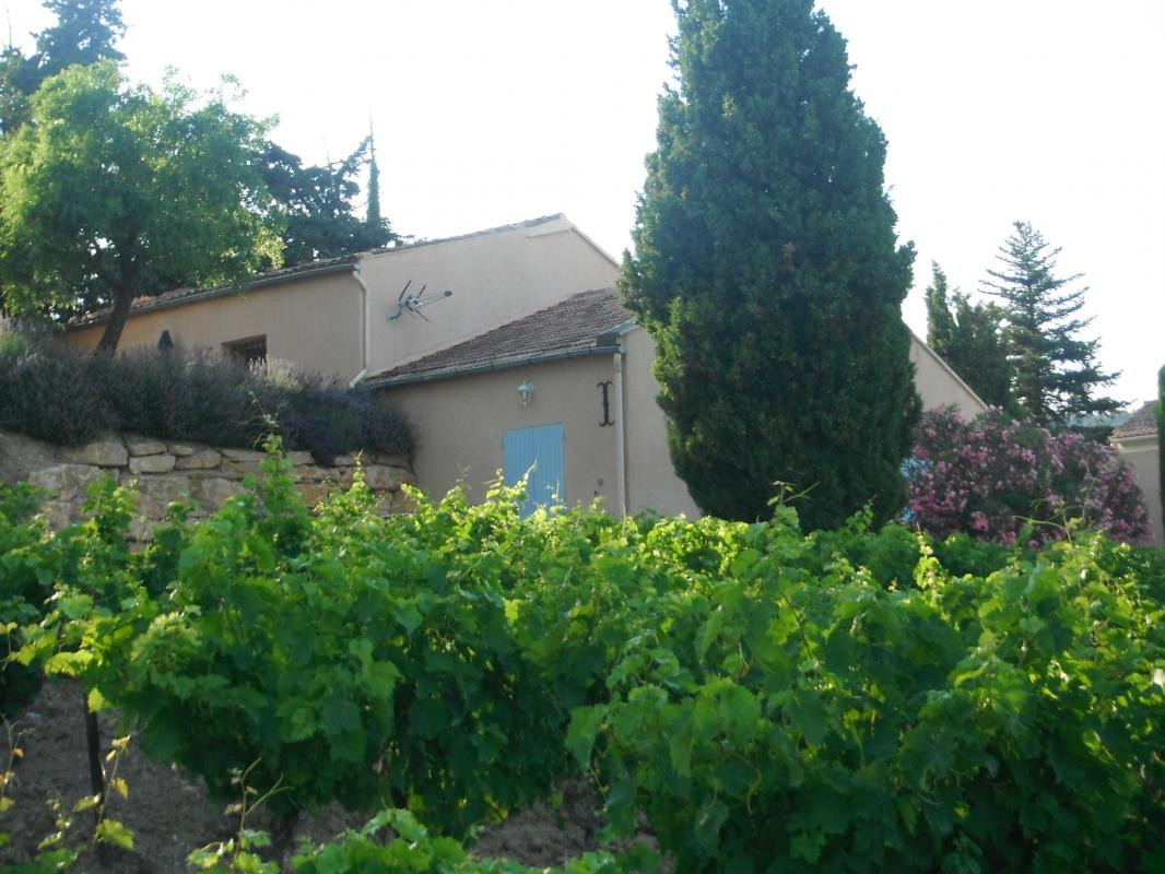 photo 0