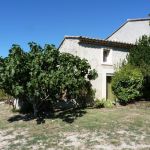 gite - Le Cabanon - MAZAN - Vaucluse