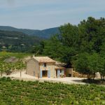gite - Le Cinsault - VAISON-LA-ROMAINE - Vaucluse