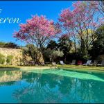 La piscine au printemps