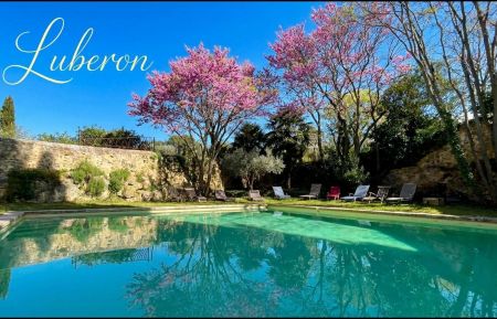 G&icirc;te de groupe n&deg;84G3058 Cadenet - Vaucluse - La piscine au printemps