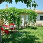 gite - Maison des Clapas - CARPENTRAS - Vaucluse