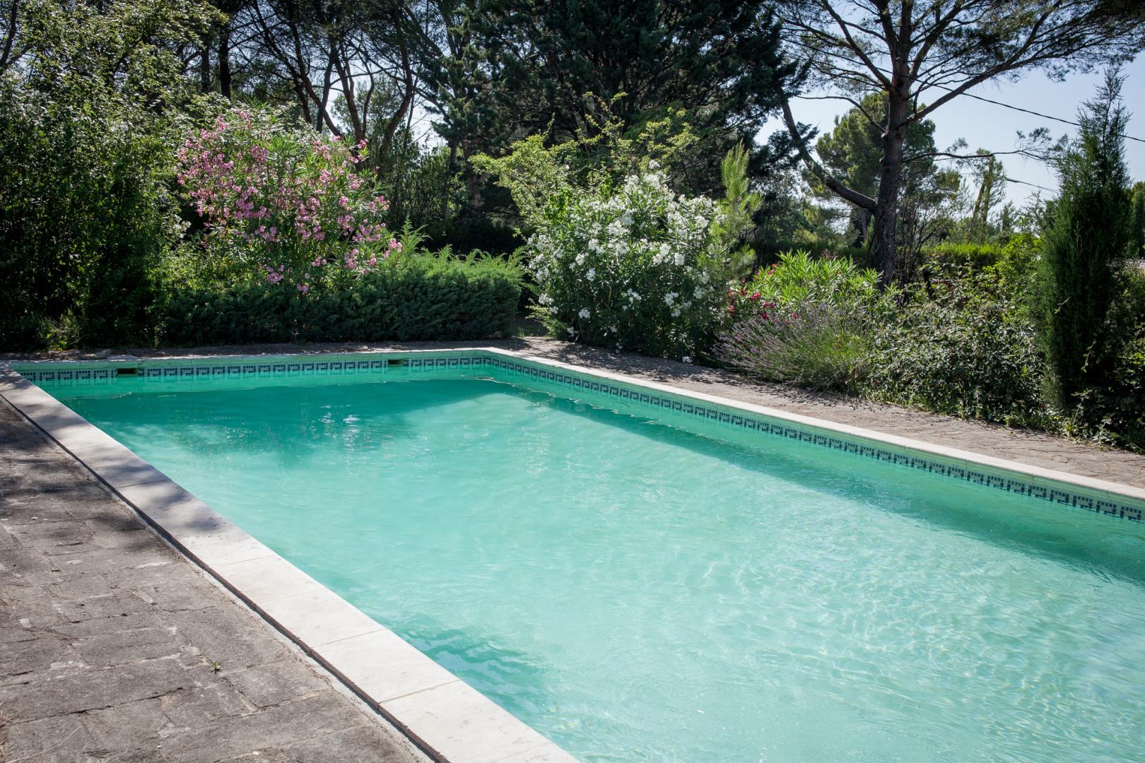 Gite N 84g4187 A L Isle Sur La Sorgue Vaucluse