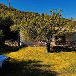 gite - Villa Joy'S - MALAUCENE - Vaucluse