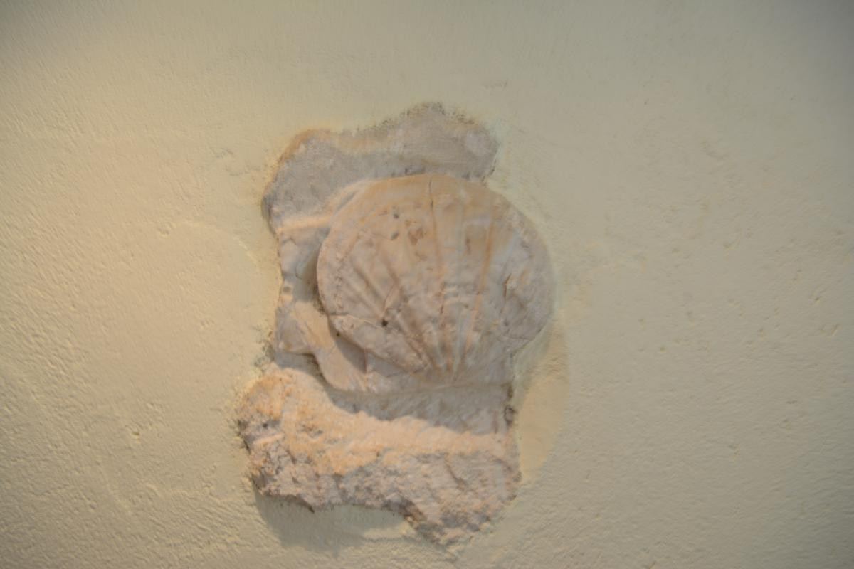 photo 35
