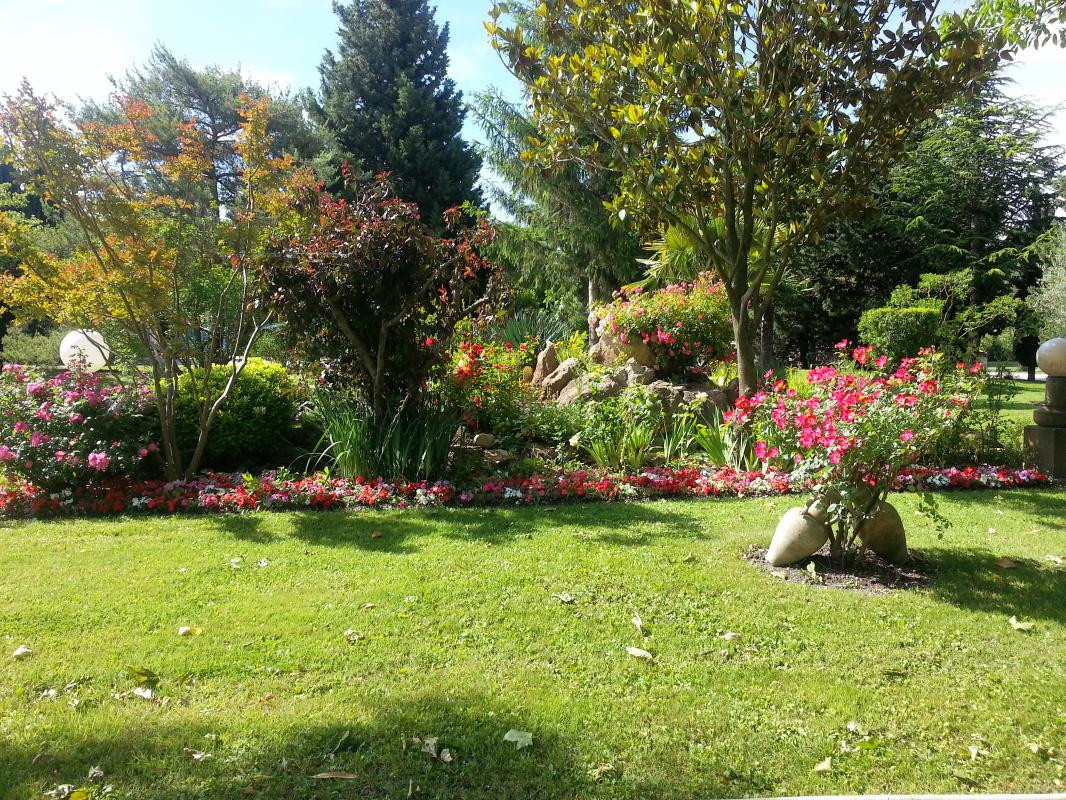 photo 37