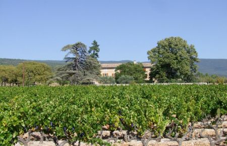 Gîte n°84G344 Saint-Saturnin-lès-Apt - Vaucluse - photo
