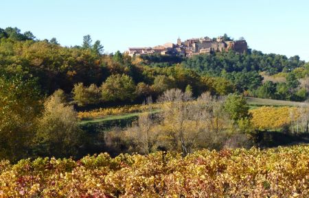 G&icirc;te n&deg;84G2378 Roussillon - Vaucluse - Autour du g&icirc;te:Nos vignes et le village de Roussillon