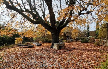 Gîte n°84G3765 Pernes-les-Fontaines - Vaucluse - photoAutomne