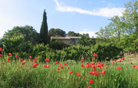 G&icirc;te n&deg;84G3472 Puyvert - Vaucluse - photoEte