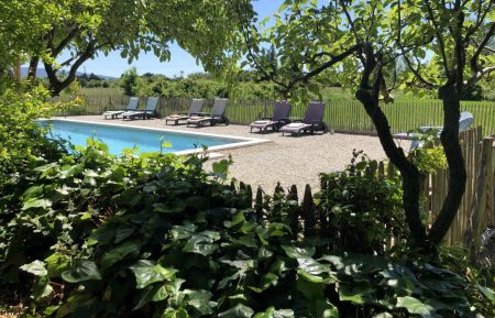 Immergez-vous dans le jardin oasis. Chambre d'hôtes n°84G1548 Pernes-les-Fontaines - Vaucluse - Immergez-vous dans le jardin oasis.
